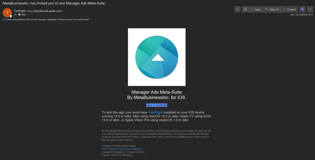 Email Recu De Testflight Arnaque Testflight : Vos Comptes Facebook Business En Danger - Tag 1